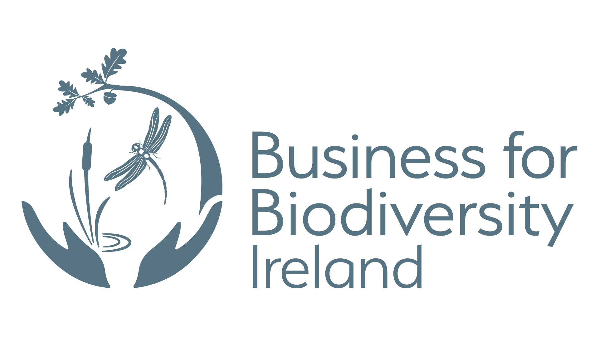B4B_colour_Ireland