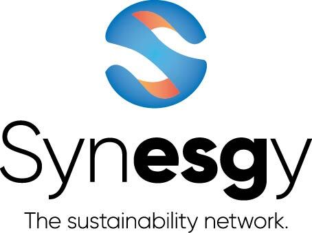 Synesgy Logo